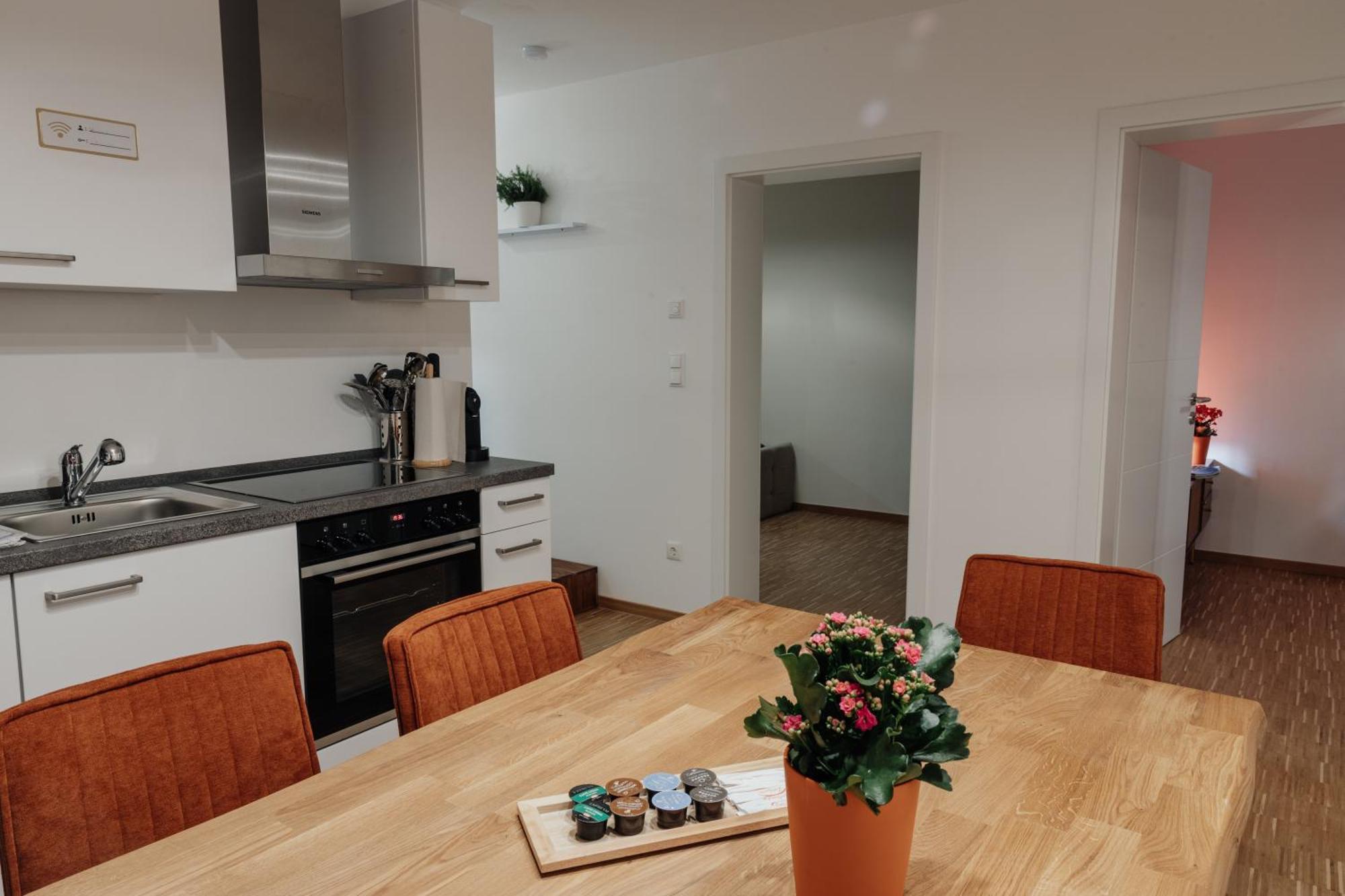 Passaus Motto Appartements! Solo - Paerchen - Familien - Gruppen Cameră foto