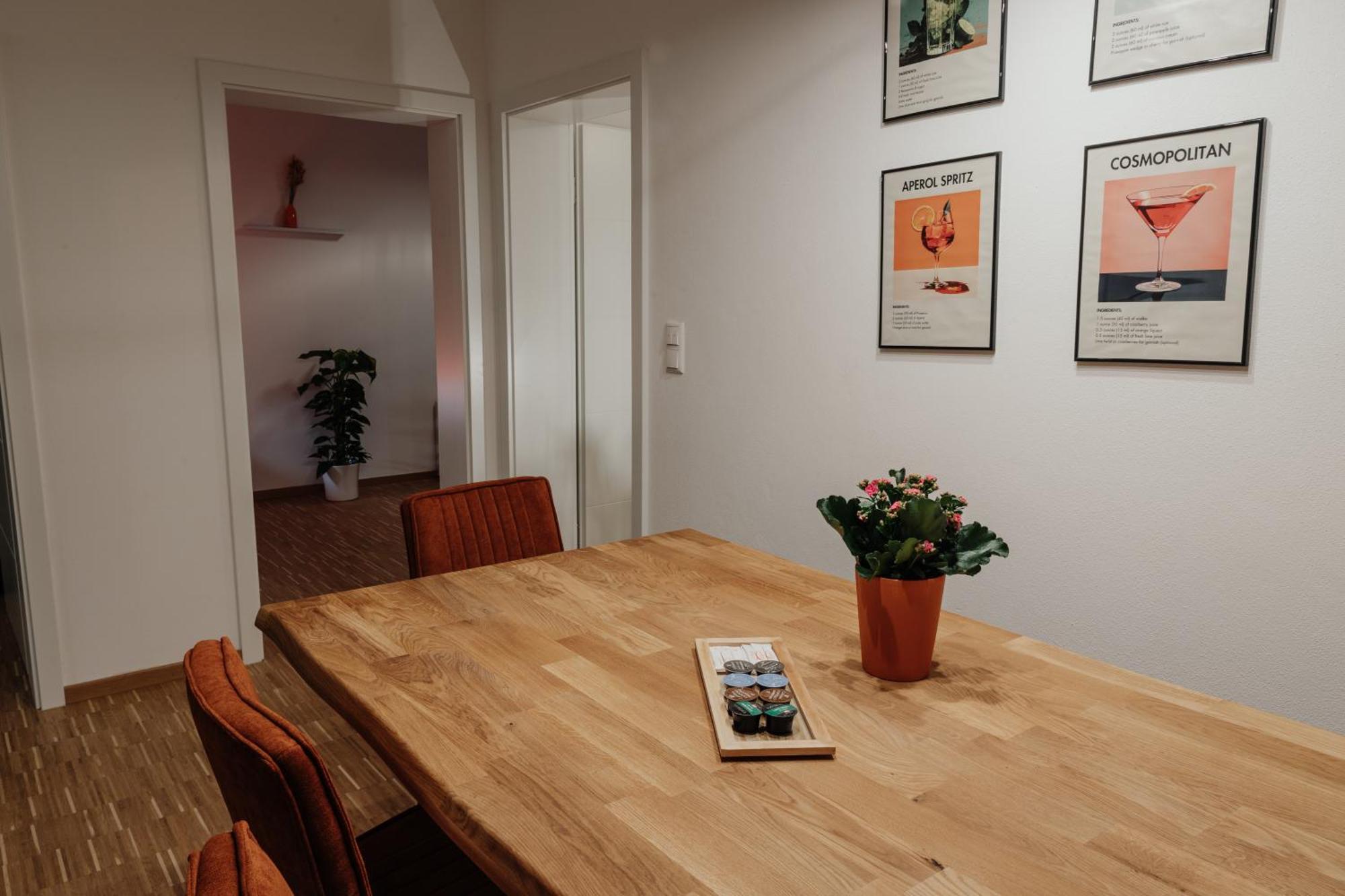 Passaus Motto Appartements! Solo - Paerchen - Familien - Gruppen Cameră foto